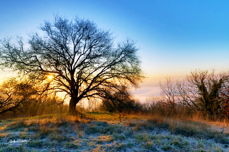 La Roche Guyon - matin douceur -