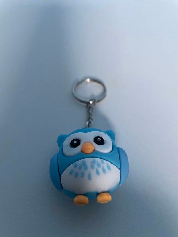 Owl Keyring