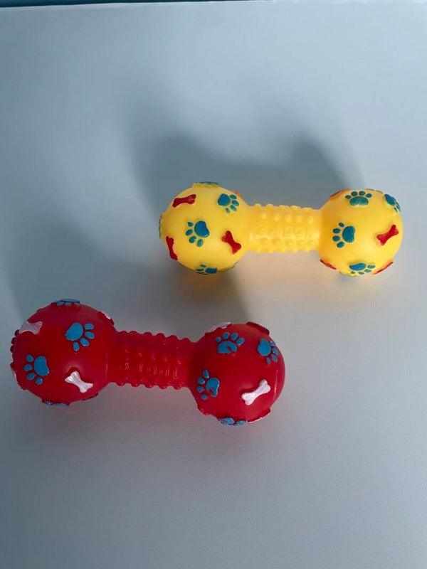Dog Squeak Bone Toy