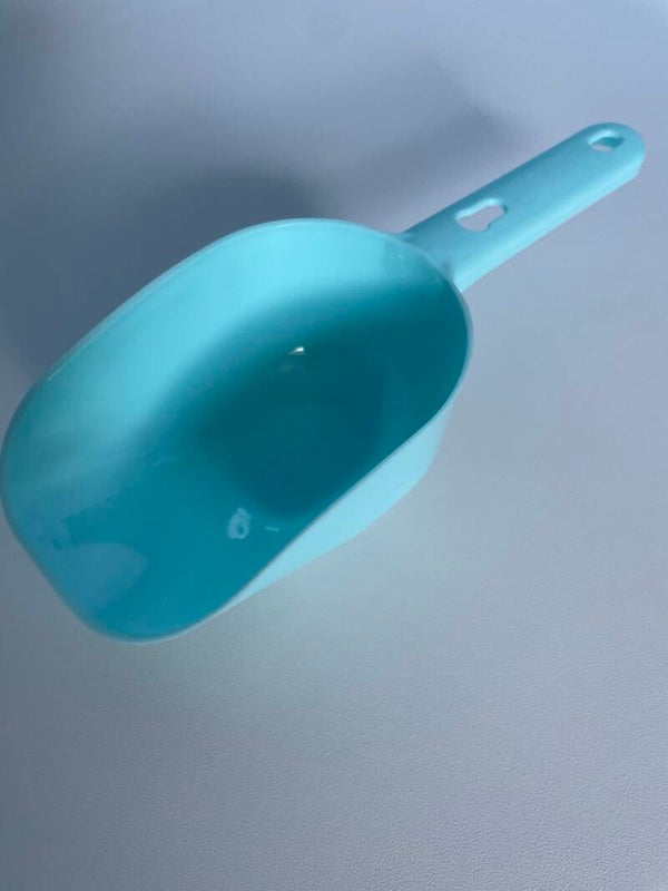 Large Spoon