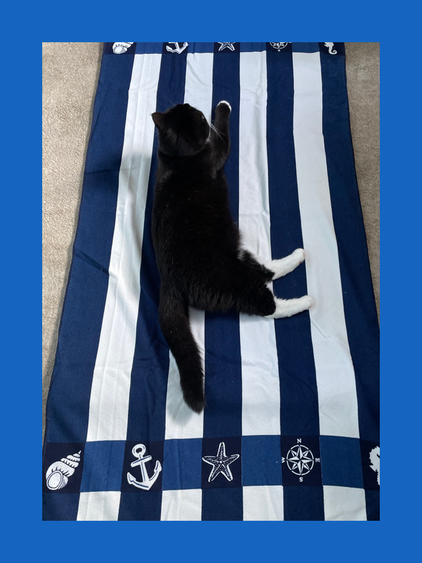 Beach Towel’s