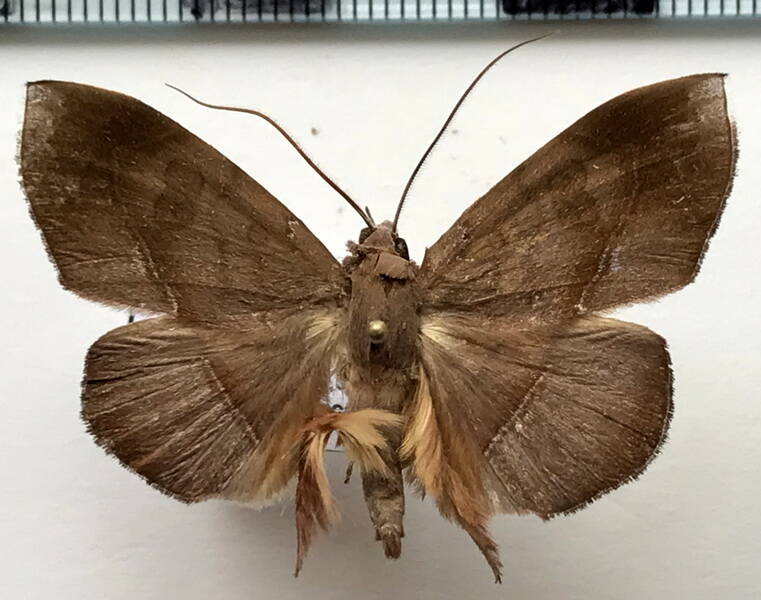 argidia_sp_m03_gf-standard.jpg