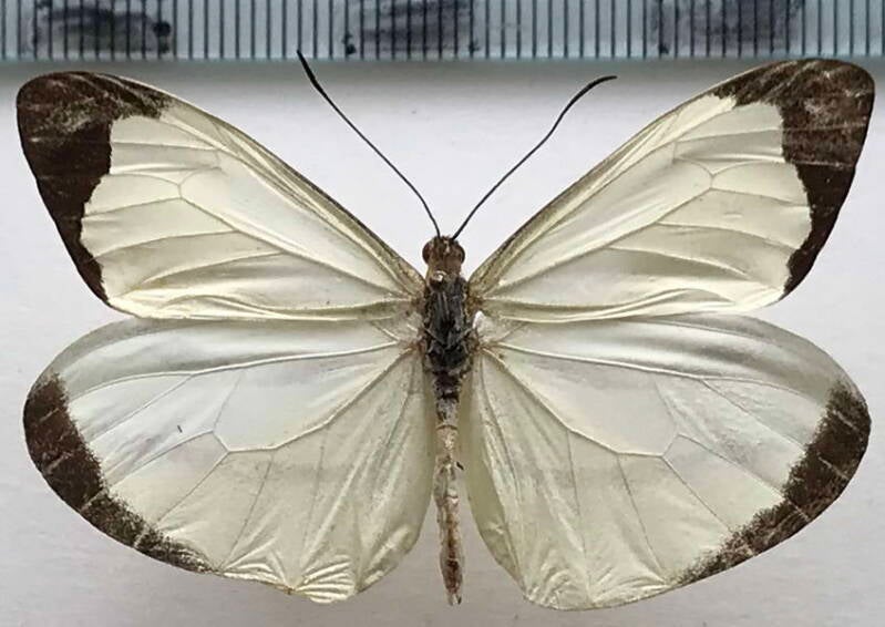 enantia_linea_m_eq-standard.jpg