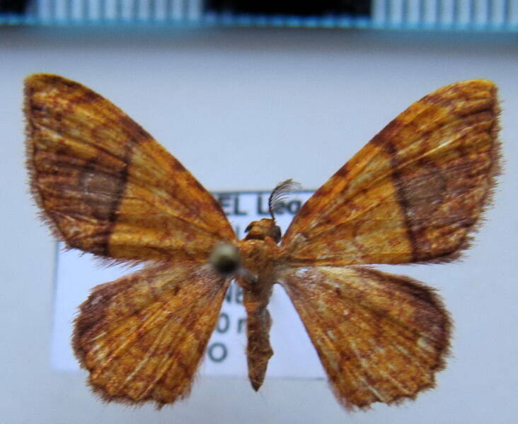 eois_eq_sp08-standard.jpg
