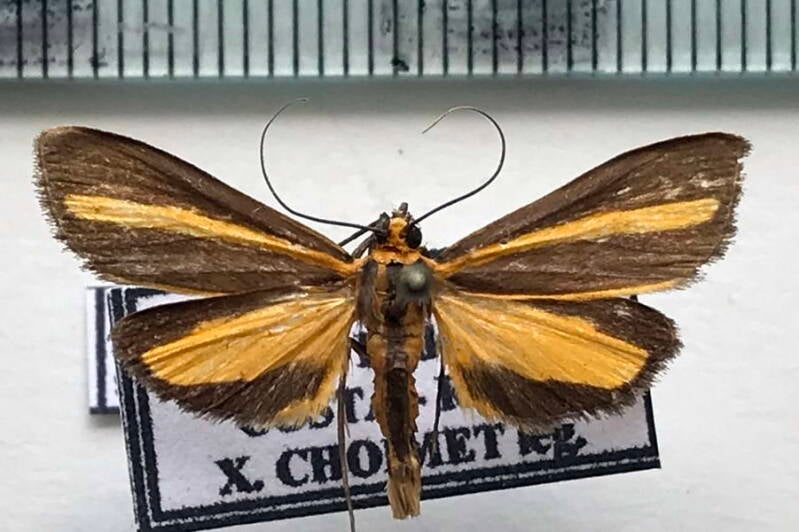 josia_sp751_vr-standard.jpg