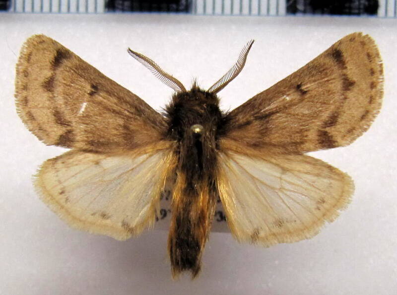 paracles_sp01_bolivie-standard.jpg