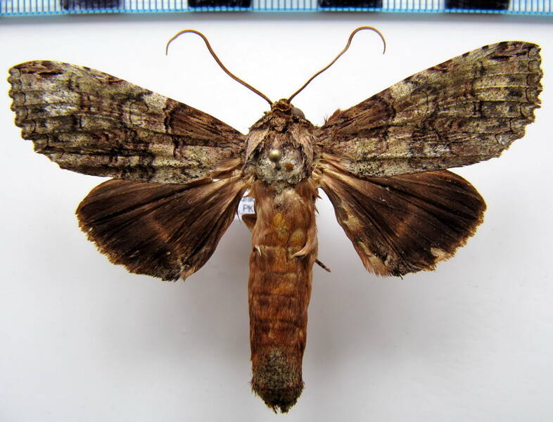rifargia_mistura_02_gf-standard.jpg