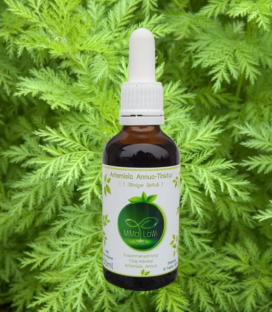 Artemisia Annua Aromatherapie 50ml (Einjähriger Beifuß)