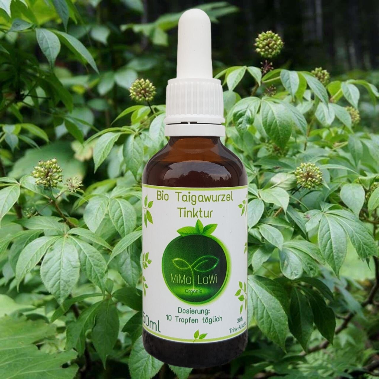 Taigawurzel Tinktur 50 ml