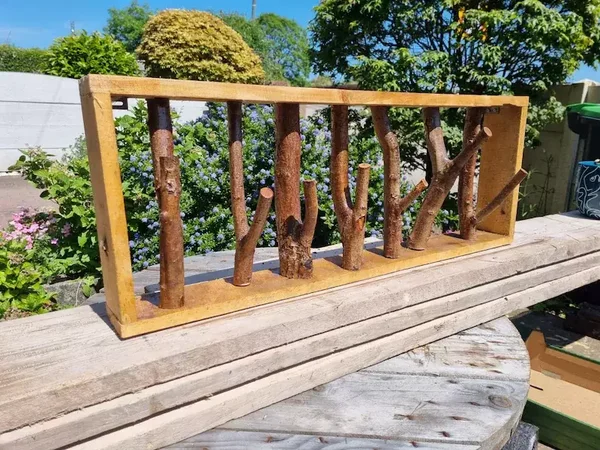 Coat Hanger, unique Hazel limb