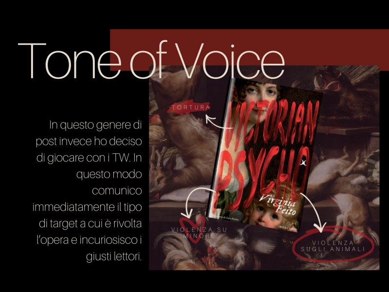 Grafica in cui mostro il mio tone of voice in azione