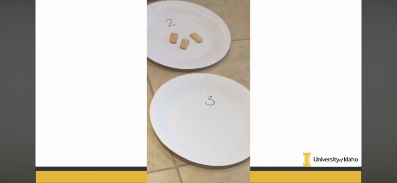 img_1334-standard-b8eflu.png