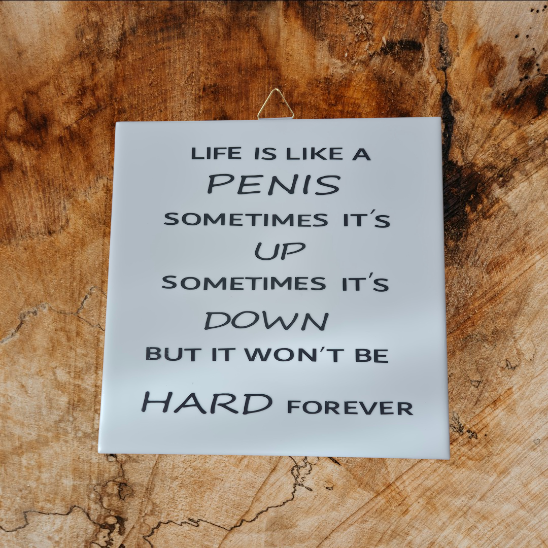 Tekst tegel "Life is like a Penis"