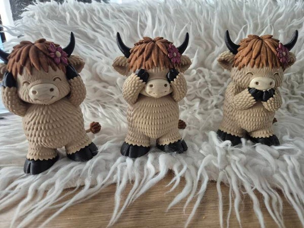 Bloem hooglander set  Horen,zien en zwijgen