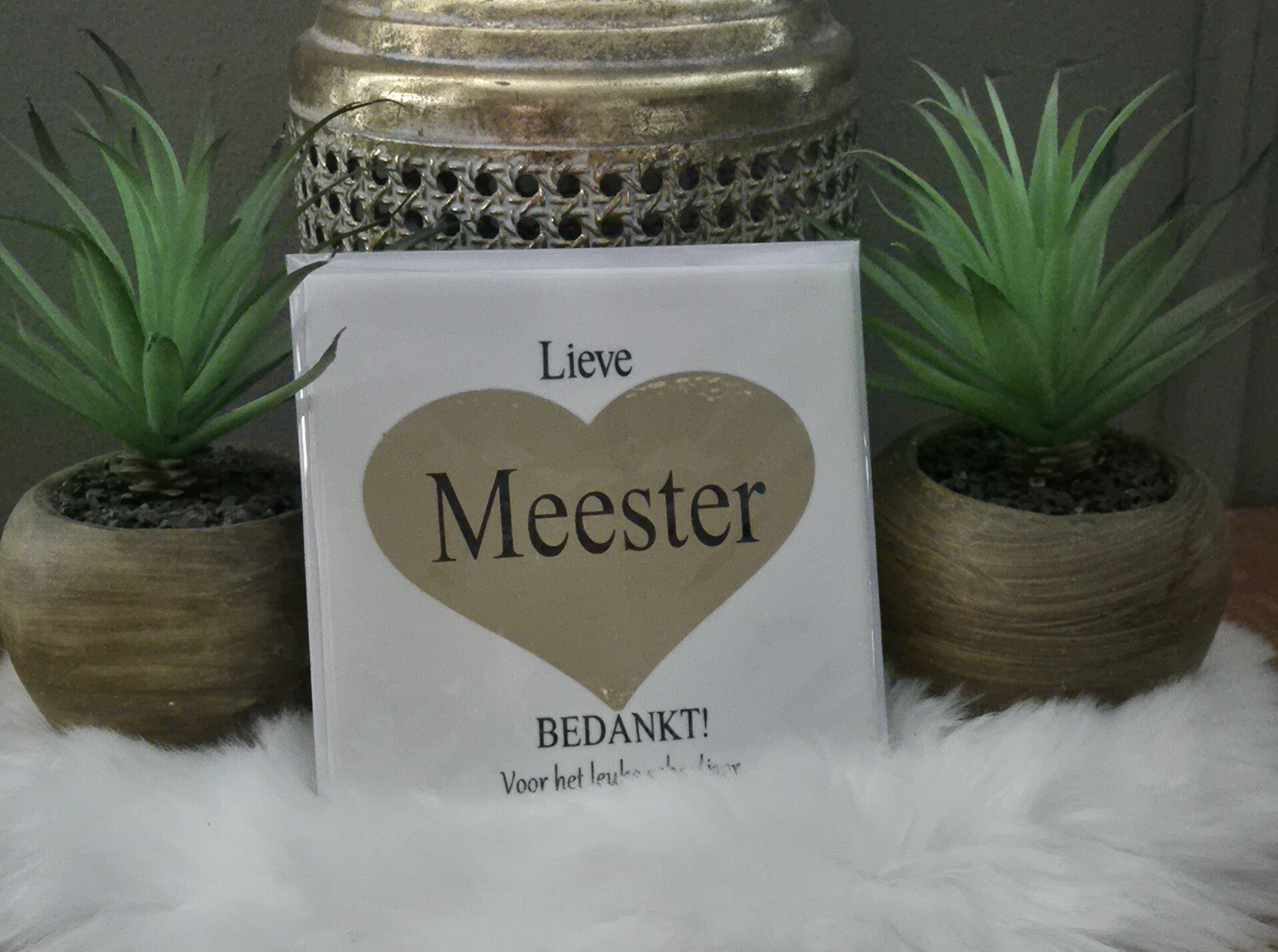 Tekst tegel "Lieve Meester"