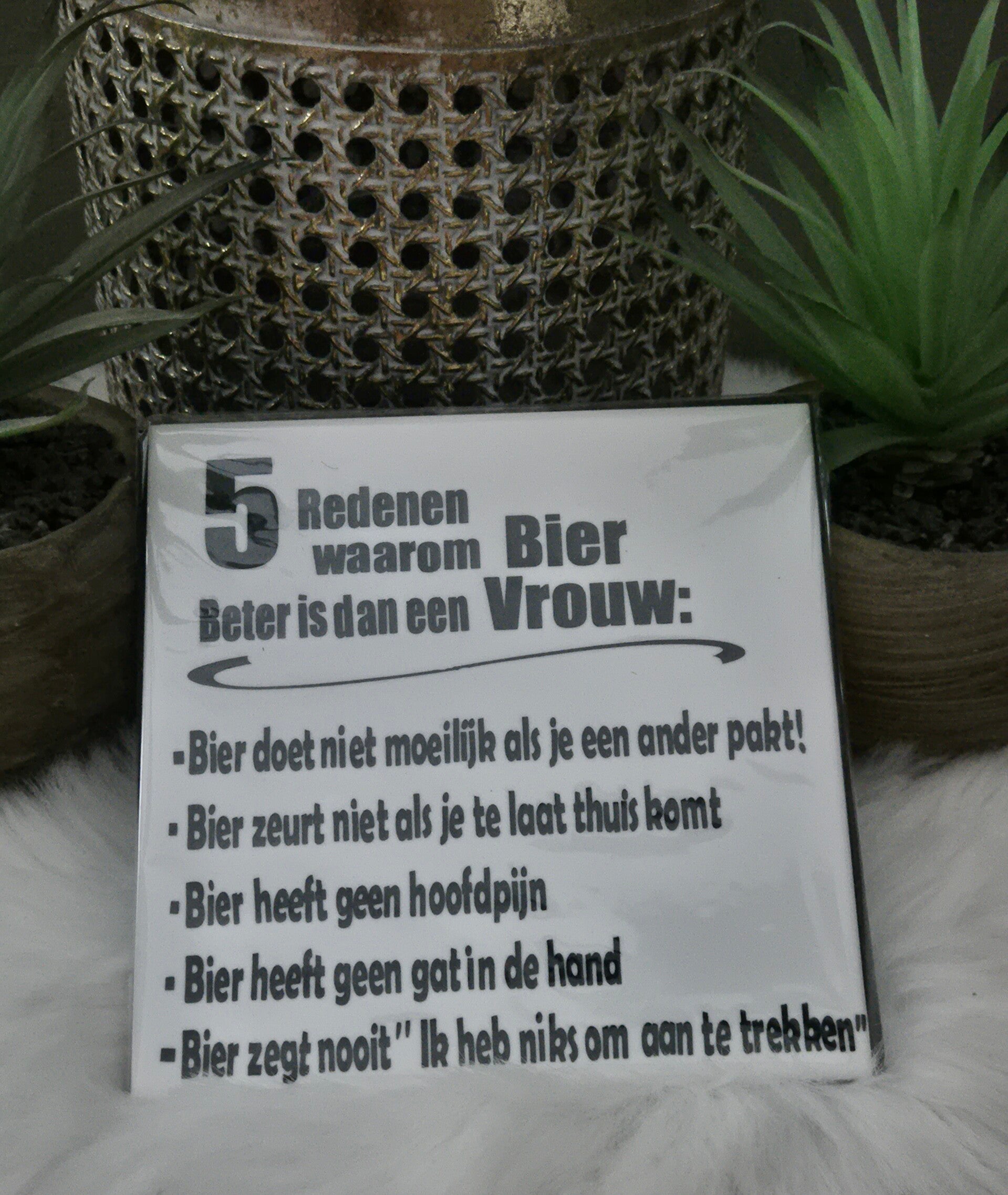 Tekst tegeltje "5 Redenen waarom"