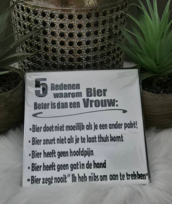 Tekst tegeltje "5 Redenen waarom"