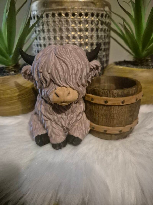 Hooglander met tonnetje