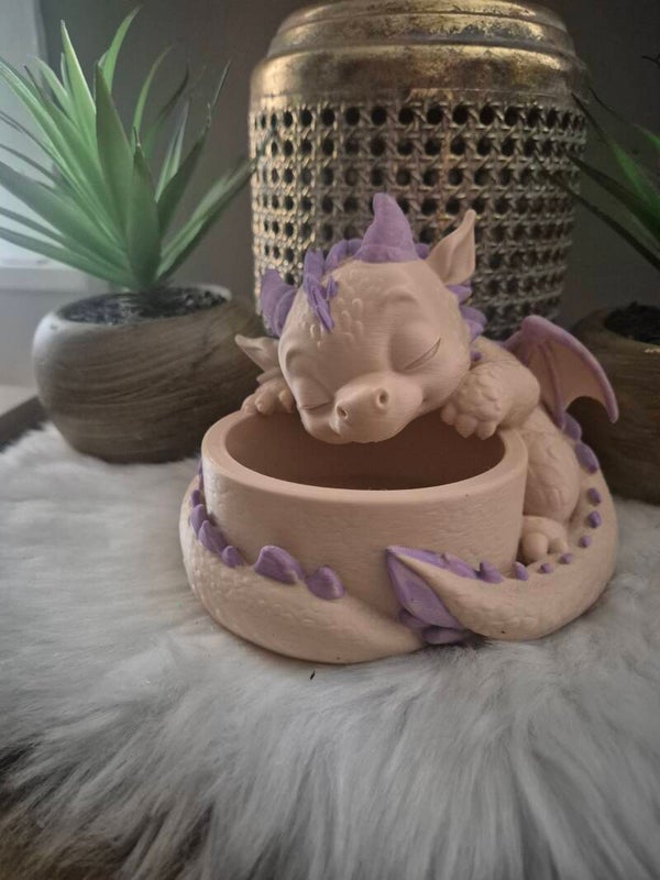 "Draak" decoratie bak