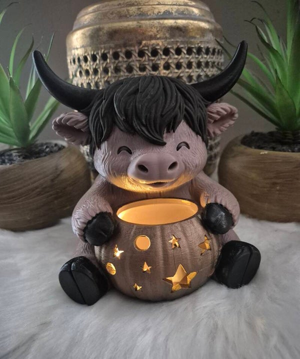 "Hooglander" licht decoratie