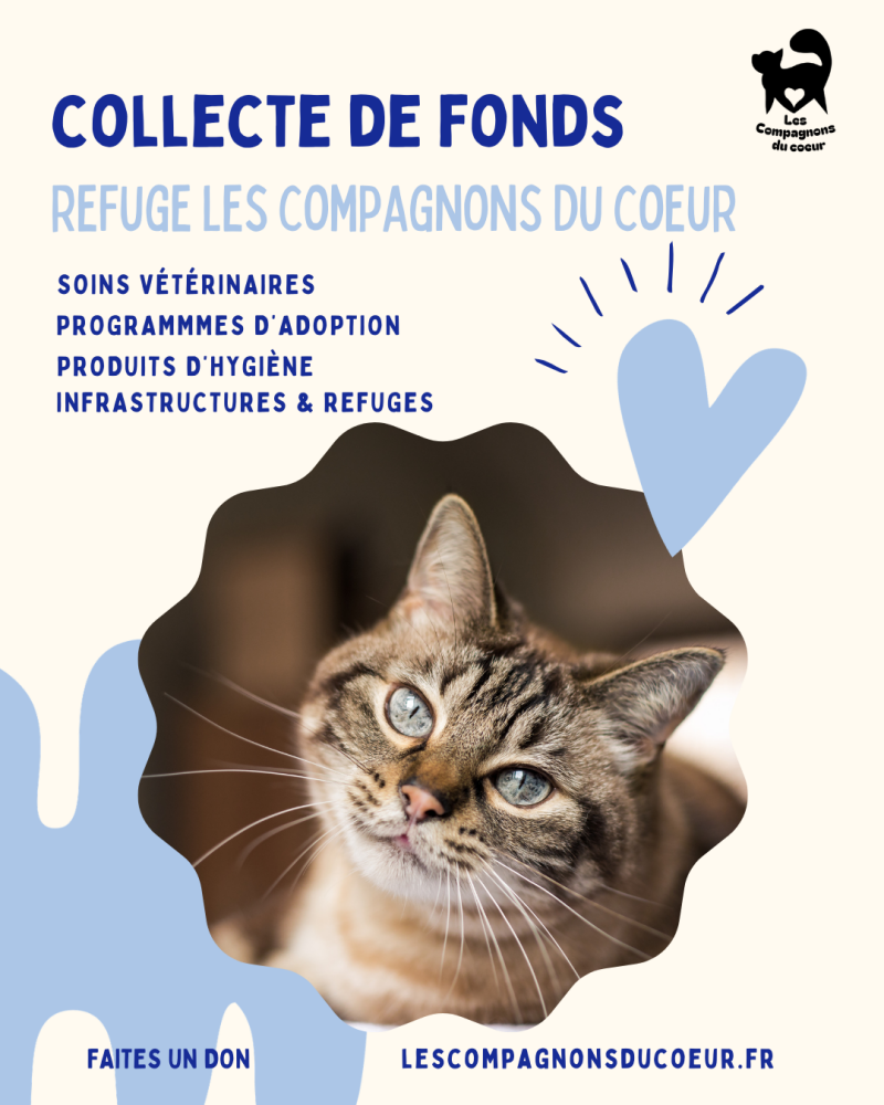 Post Insta Collecte de fonds - Les compagnons du coeur