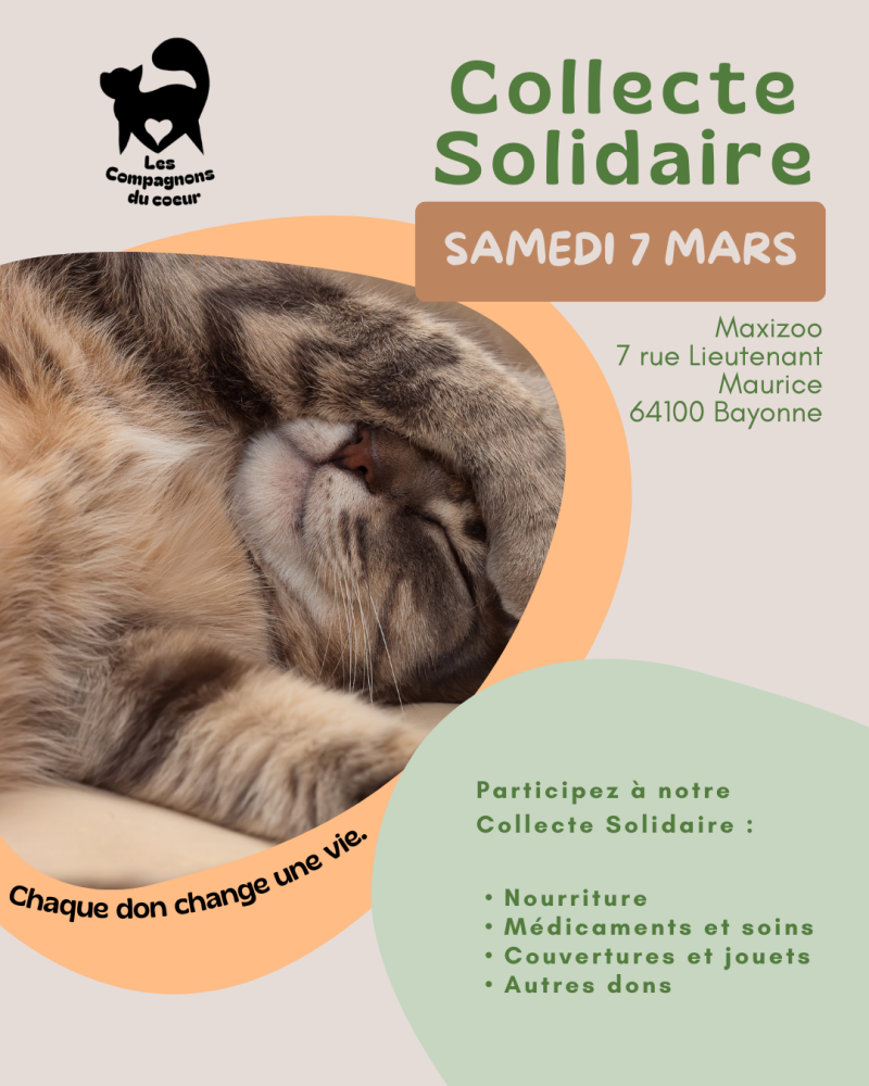 Post Insta Collecte solidaire - Les compagnons du coeur