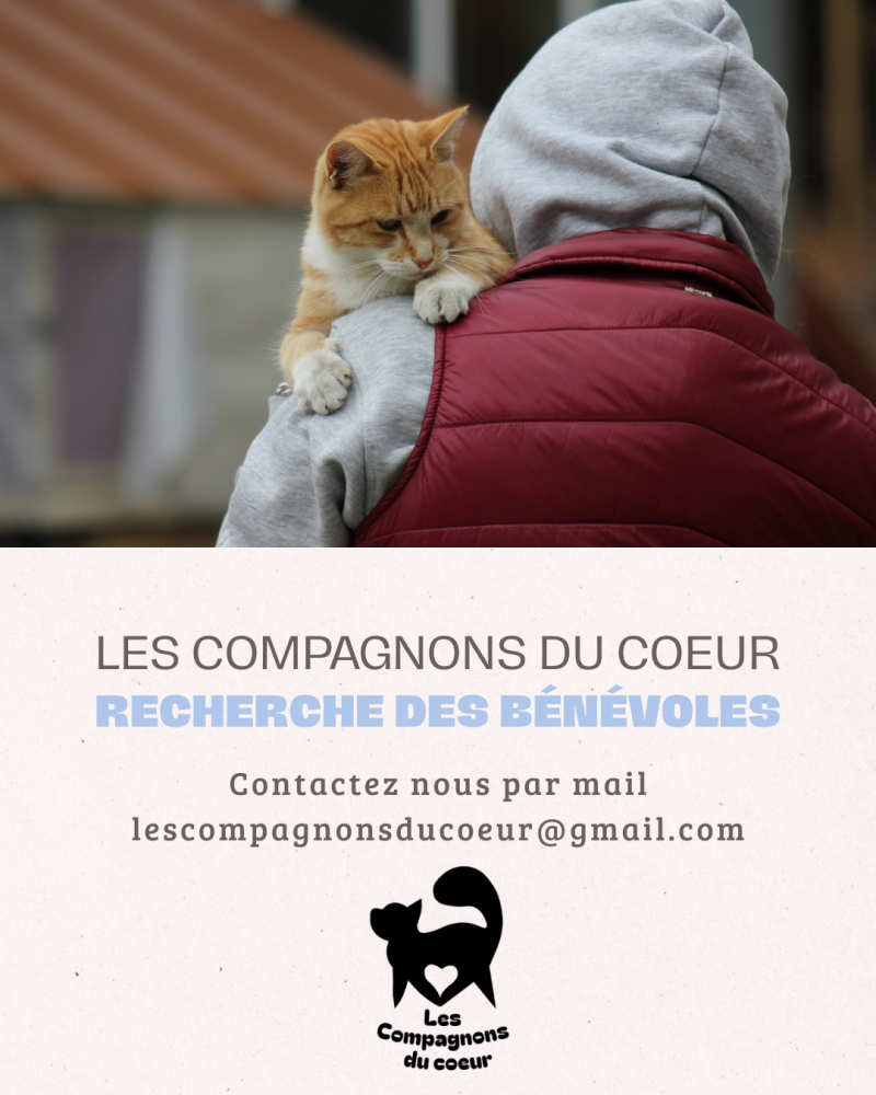 Post Insta Recherceh bénévoles - Les compagnons du coeur