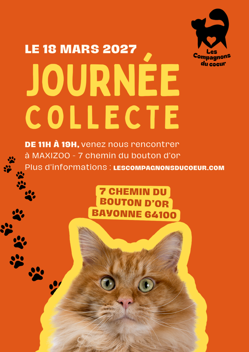 Affiche de journée de collect pour l'association les compagnons du coeur, association de protection féline