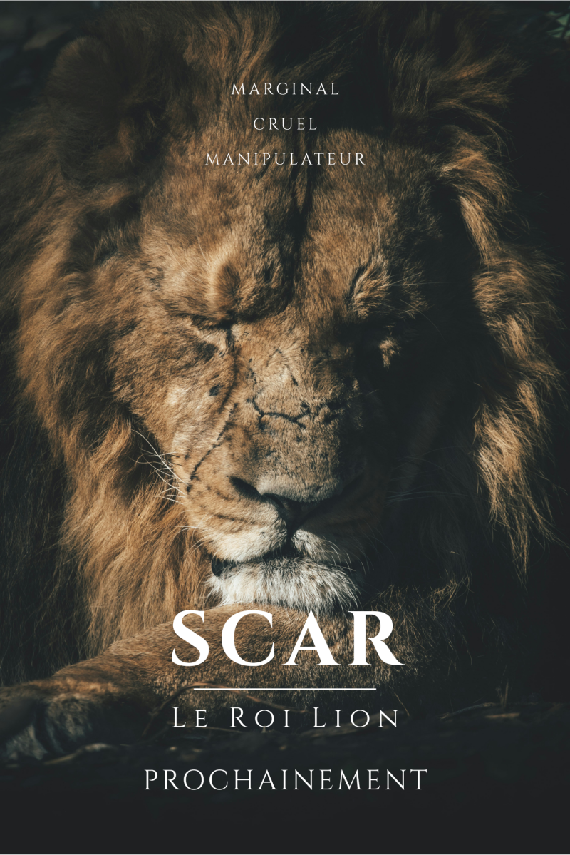 Affiche Scar 4