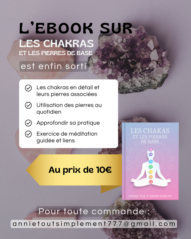 Post Insta E book - Annie Tout Simplement