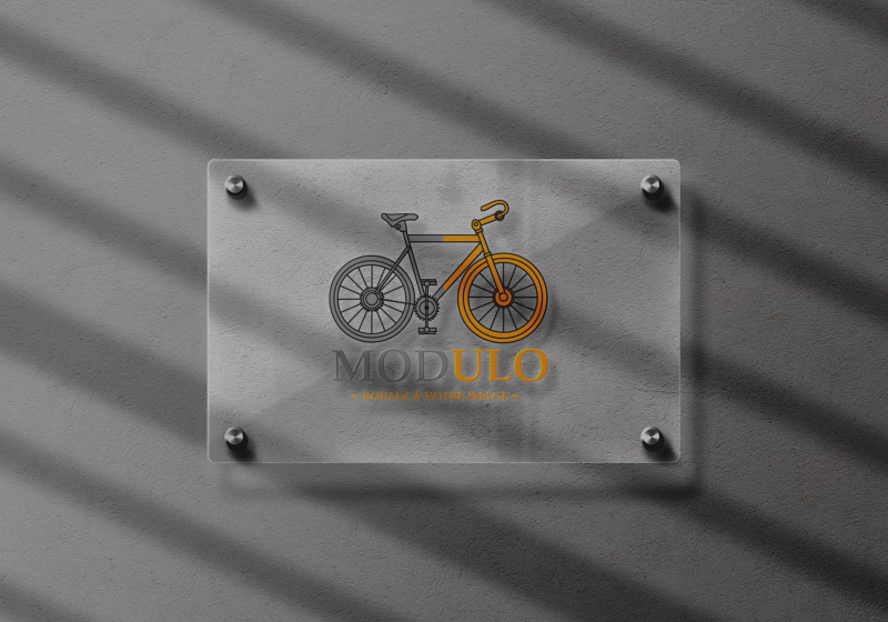 mockup-modulo-5-standard-n1u113.png