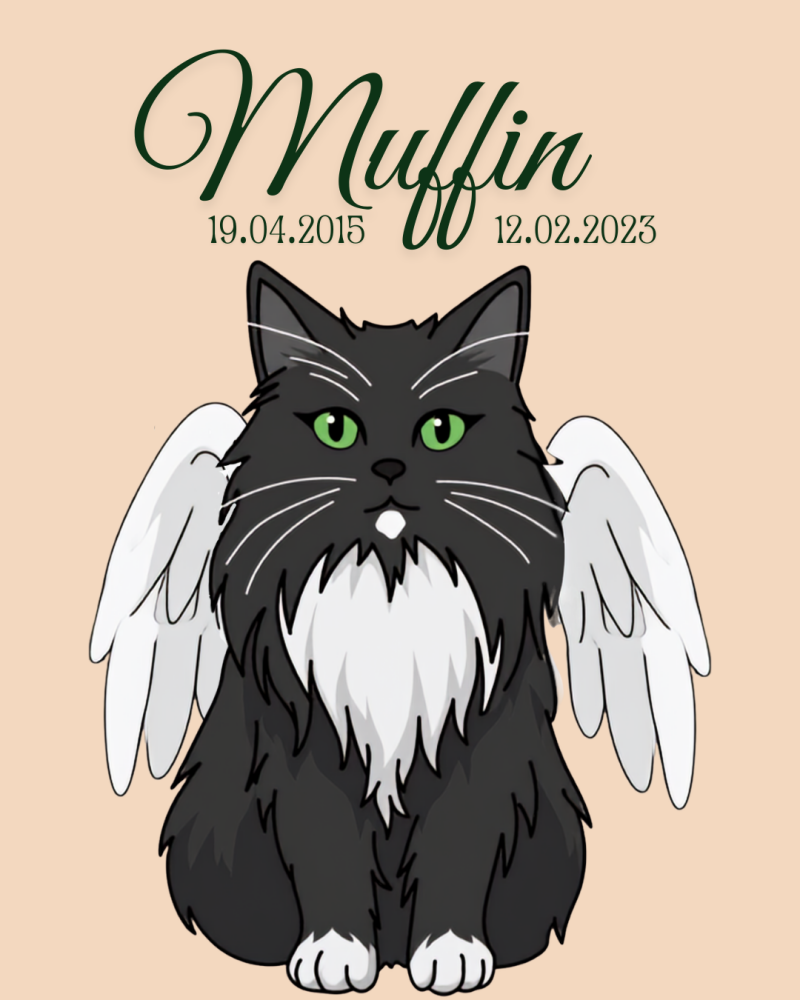 Illustration de Muffin, chat noir et blanc avec des ailes d'ange, son nom et sa date de naissance et de décès