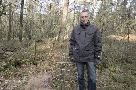 voedselbos walnoot jan meijering