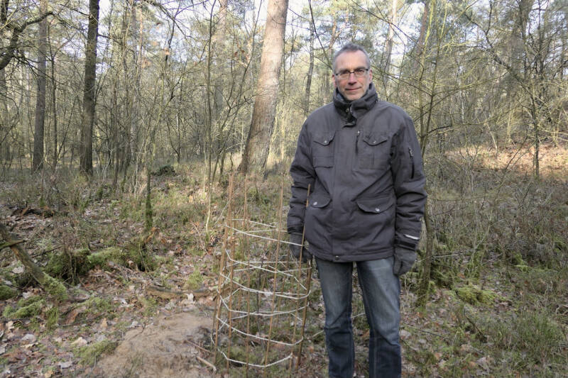 voedselbos walnoot jan meijering