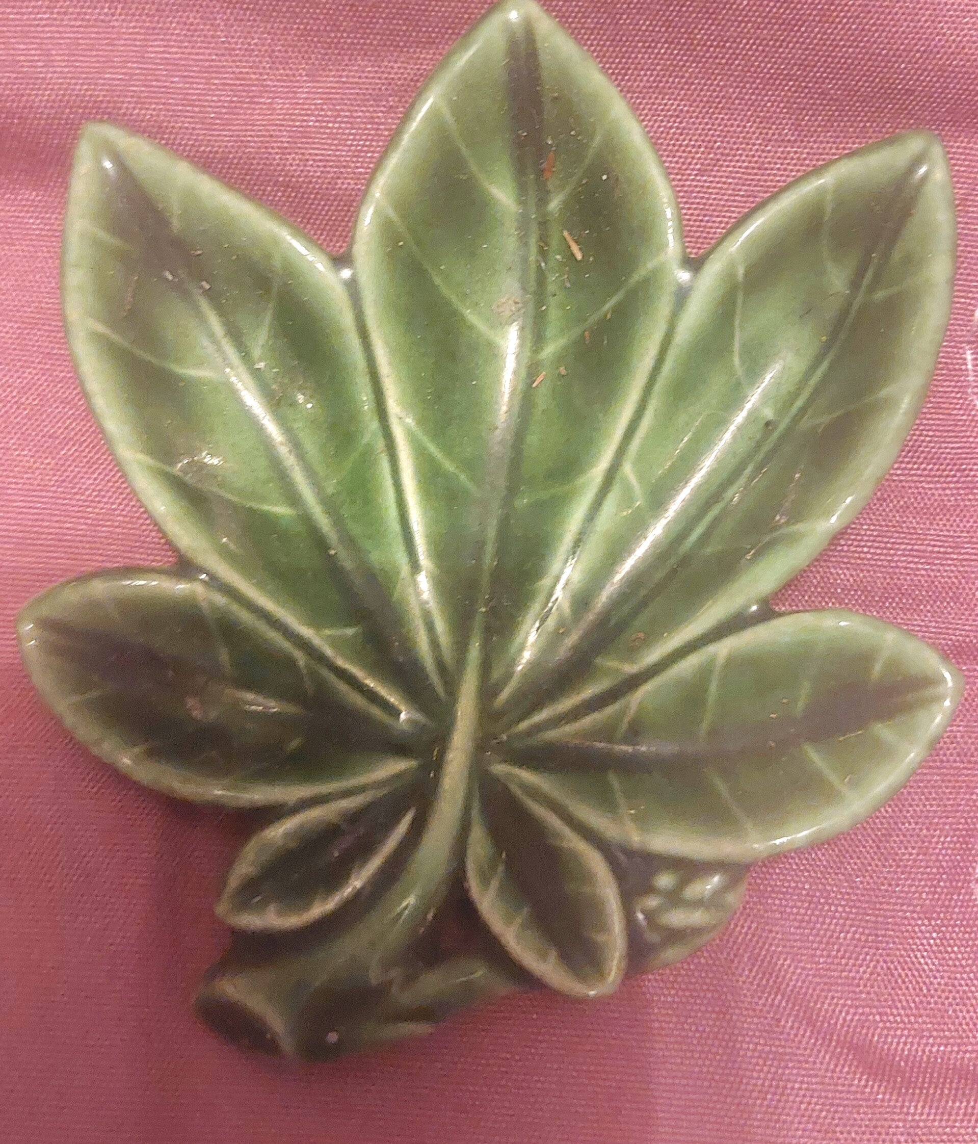 Wade leaf