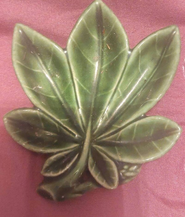 Wade leaf