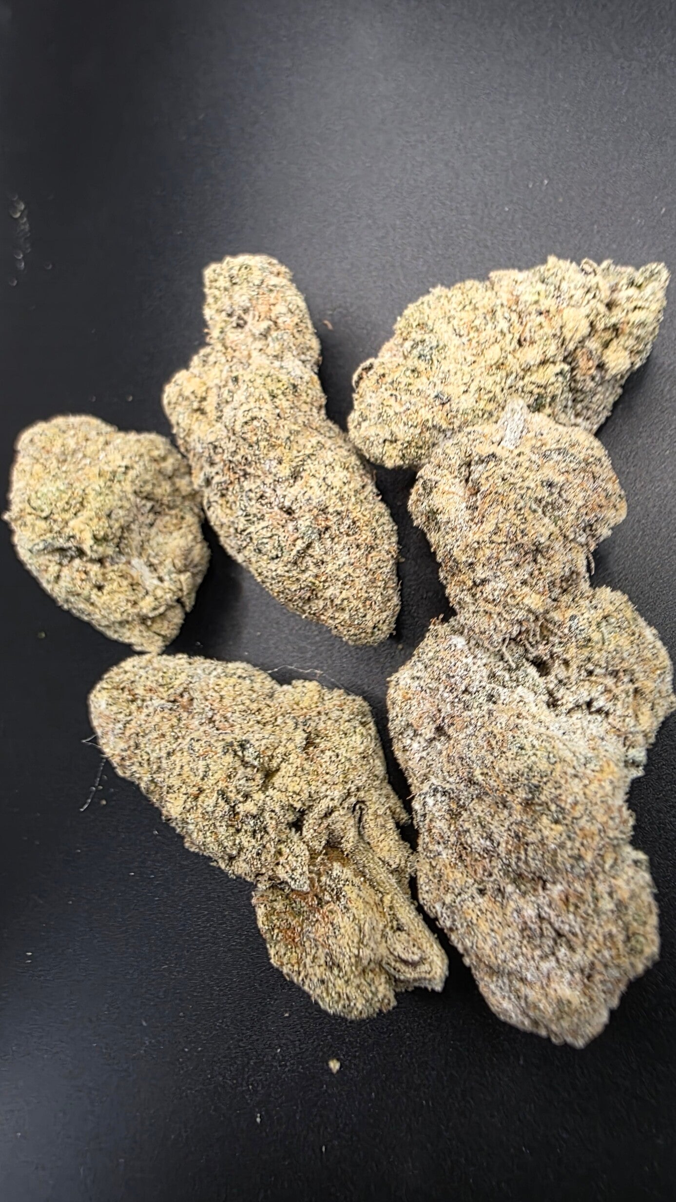 SNOWCAPS ASTRO MINTZ X CREAMSICKLE