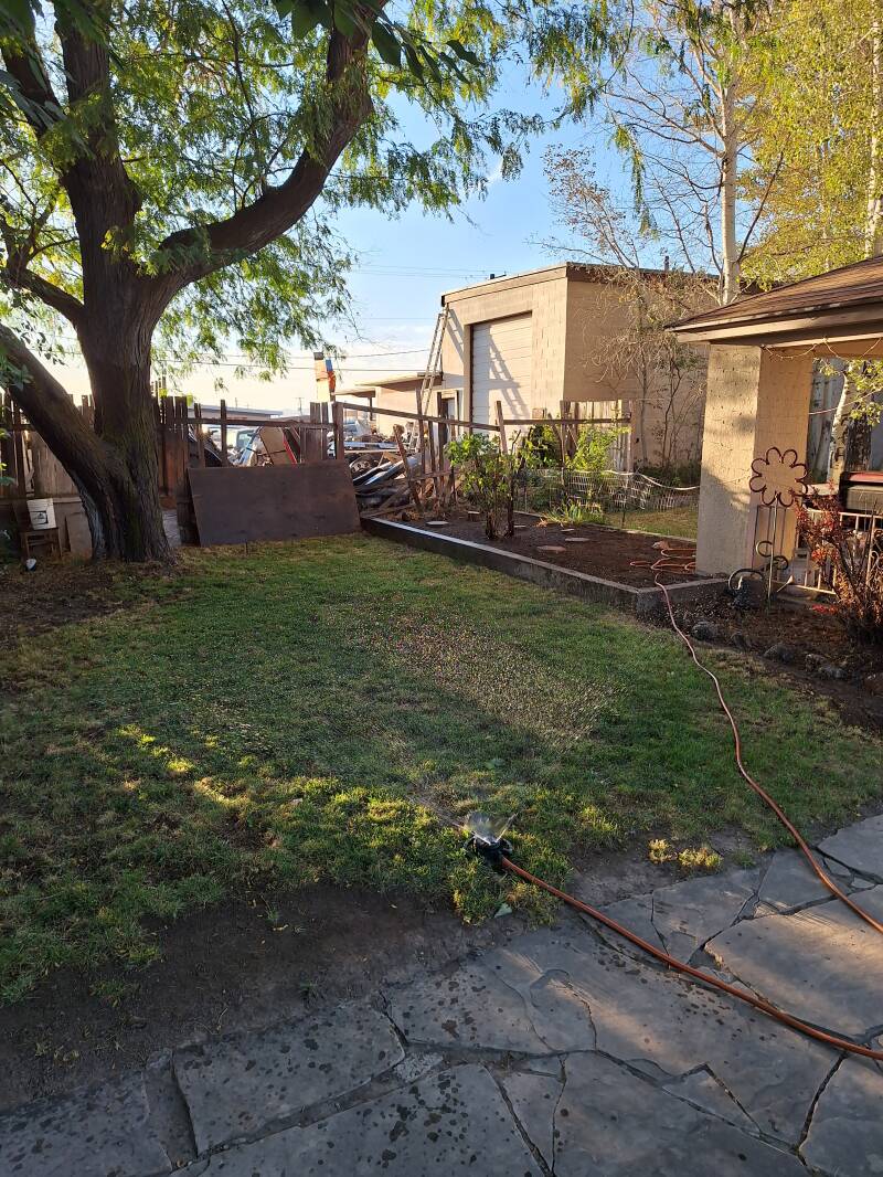 2025 Yard Spring Cleaning Renovation