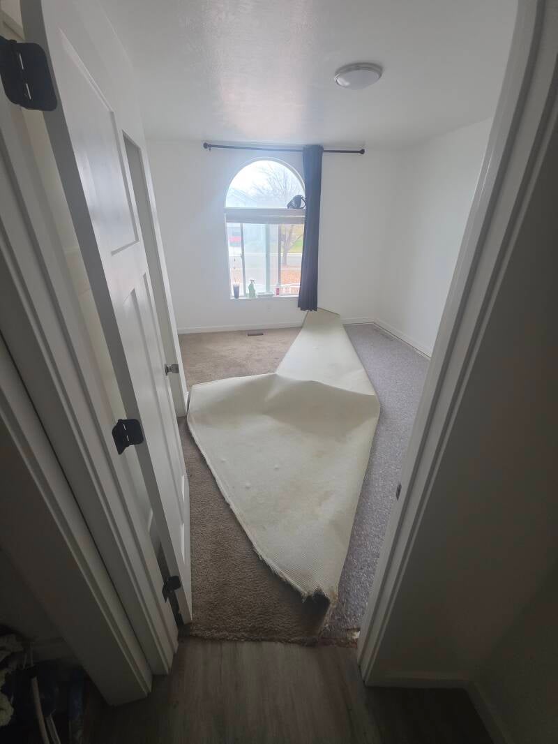 2025 1 Bedroom Remodel Paint and Flooring. Magna, Utah