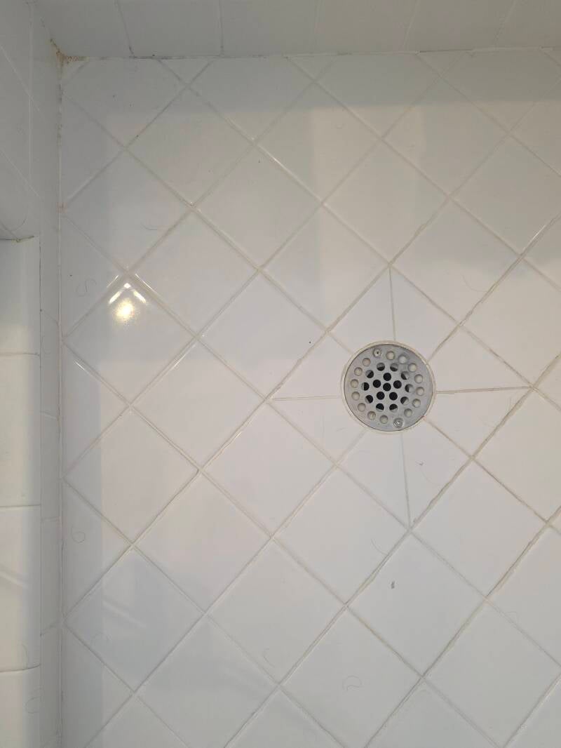 20260326_124825-standard.jpg