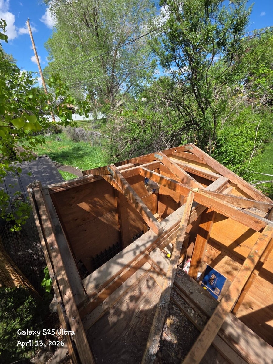 Exposed wood framing and roof boards on a shed in Bountiful, Utah