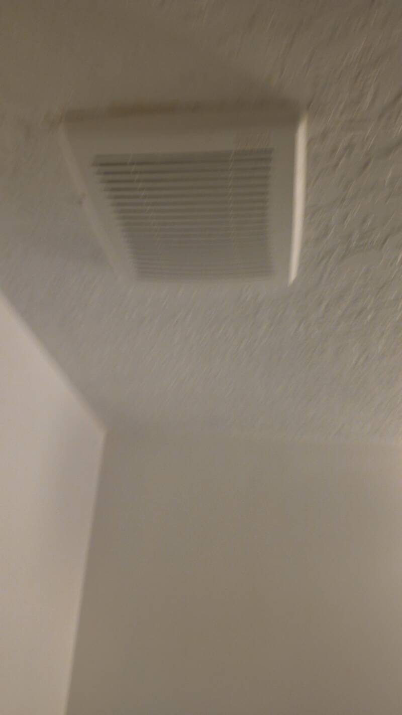 mrousavy4037593265296876190-standard.jpg