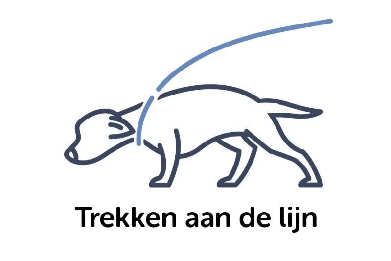 Trekken aan de lijn