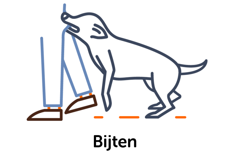 Bijten
