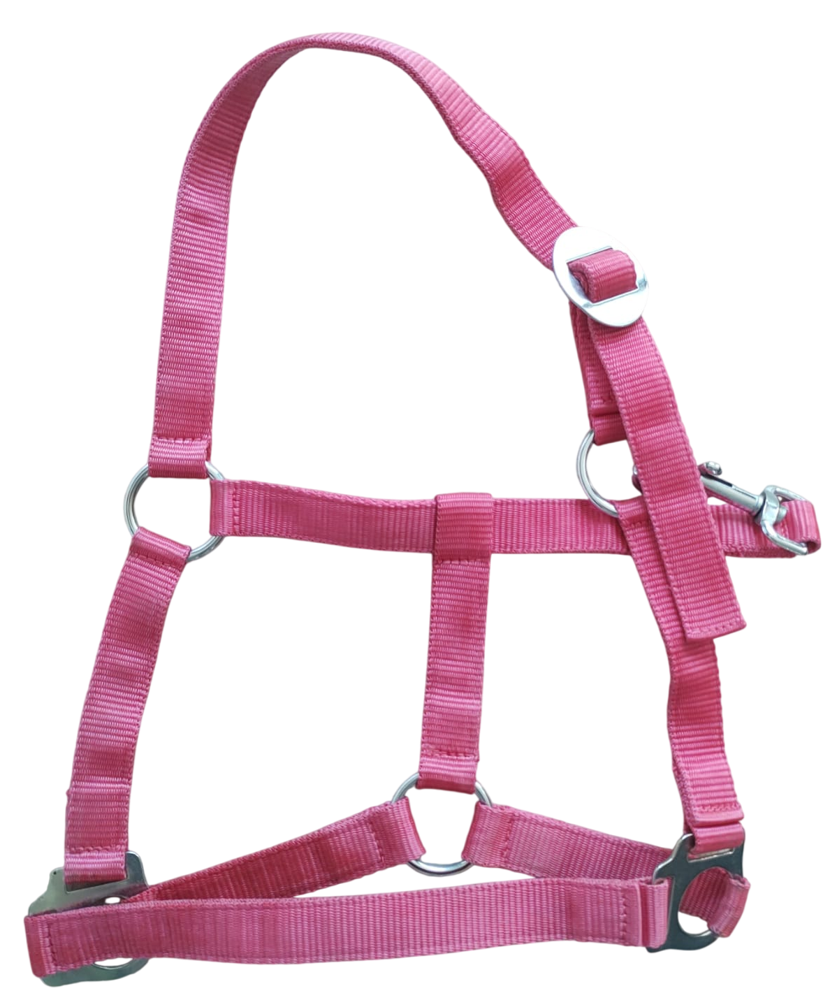 Halster roze cob