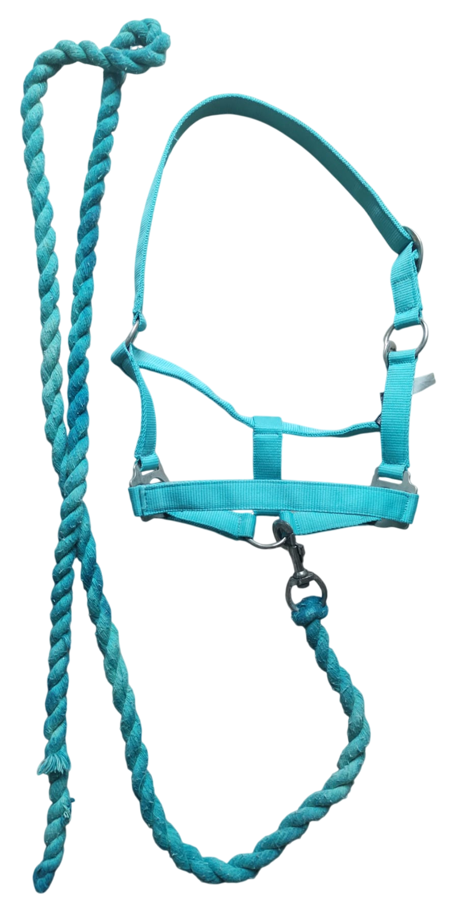 Halsterset Harry's Horse turquoise pony