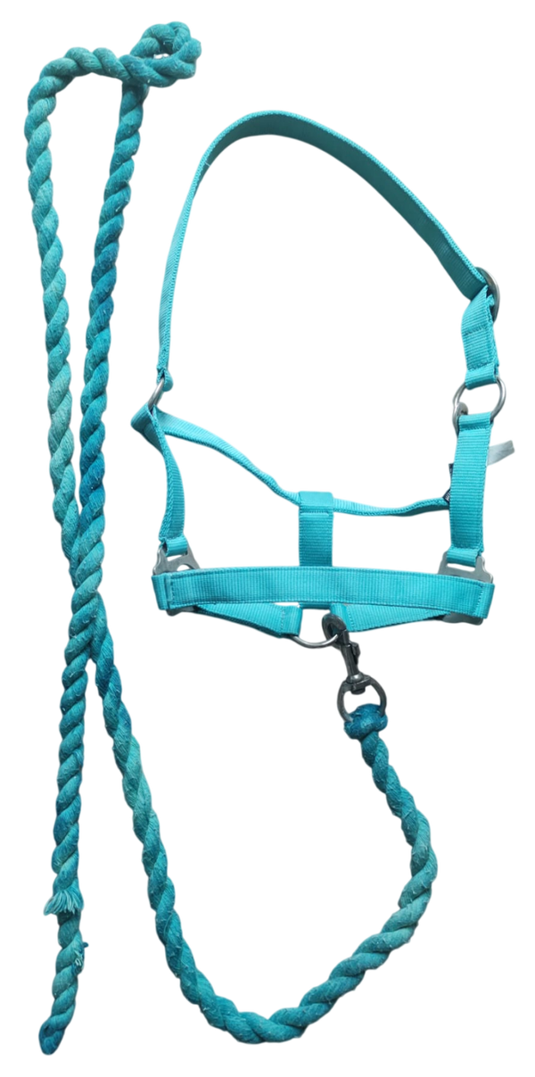 Halsterset Harry's Horse turquoise pony