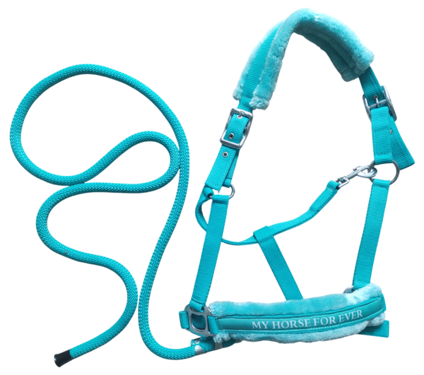 Halsterset turquoise full