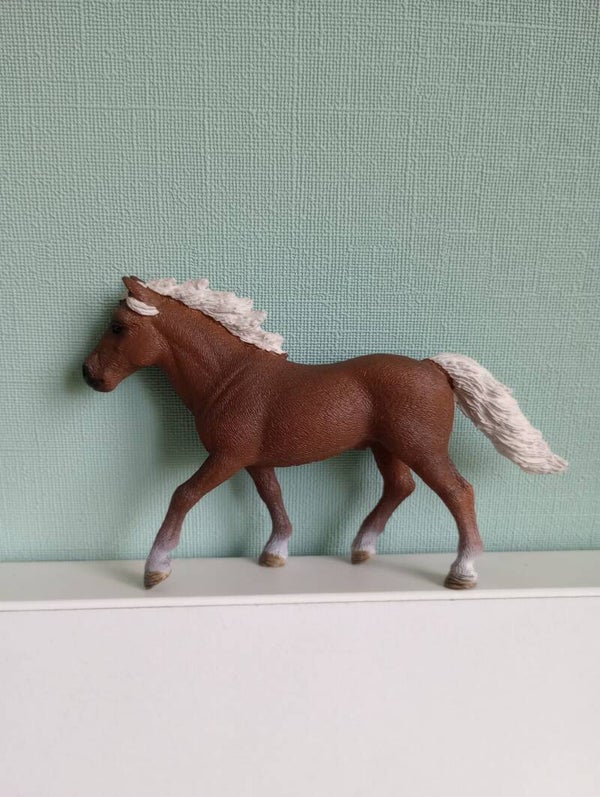 Schleich pony uit set 42481