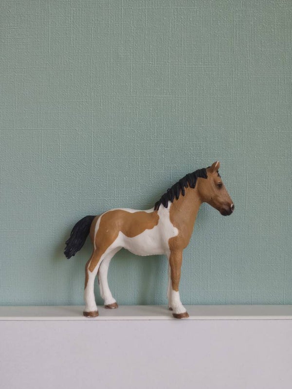 Schleich Pinto jaarling 41374